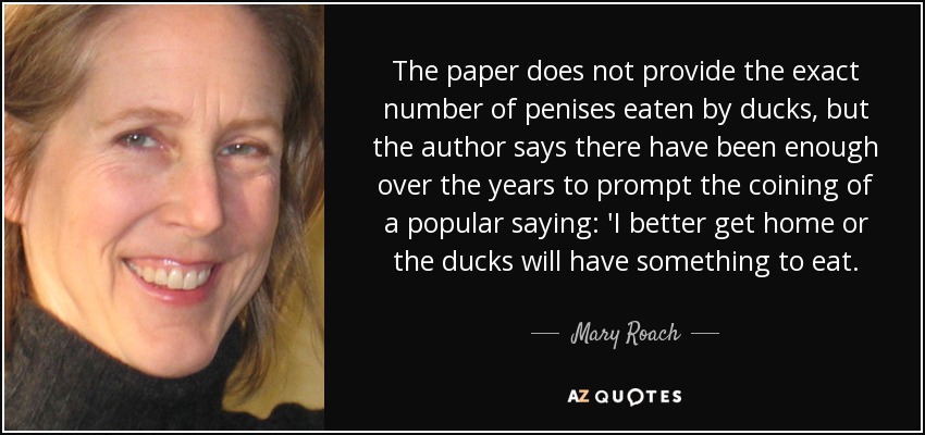 The paper does not provide the exact number of penises eaten by ducks, but the author says there have been enough over the years to prompt the coining of a popular saying: 'I better get home or the ducks will have something to eat. - Mary Roach