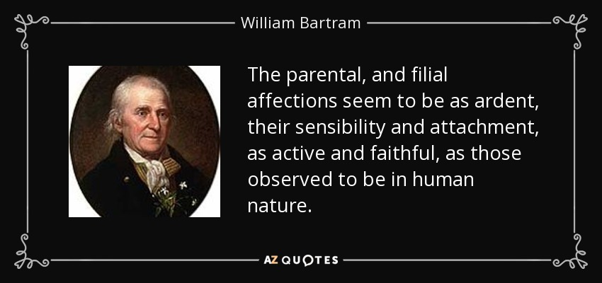 The parental, and filial affections seem to be as ardent, their sensibility and attachment, as active and faithful, as those observed to be in human nature. - William Bartram