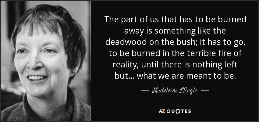 The part of us that has to be burned away is something like the deadwood on the bush; it has to go, to be burned in the terrible fire of reality, until there is nothing left but . . . what we are meant to be. - Madeleine L'Engle