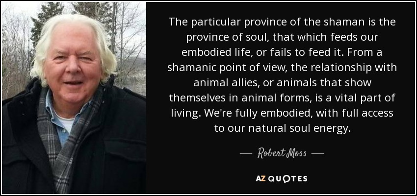 The particular province of the shaman is the province of soul, that which feeds our embodied life, or fails to feed it. From a shamanic point of view, the relationship with animal allies, or animals that show themselves in animal forms, is a vital part of living. We're fully embodied, with full access to our natural soul energy. - Robert Moss