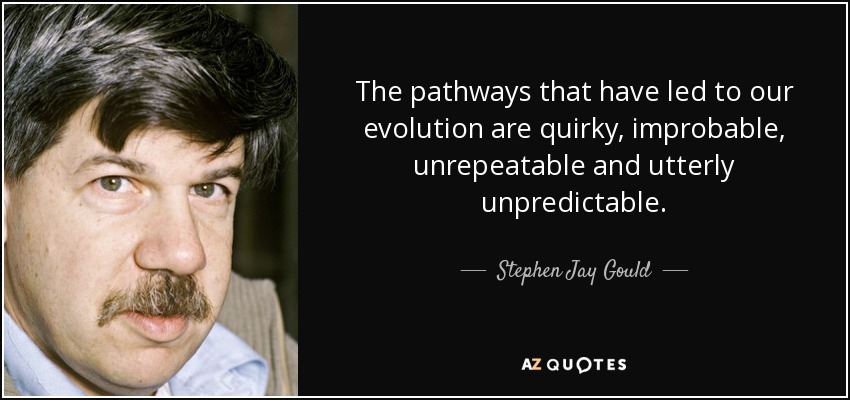 The pathways that have led to our evolution are quirky, improbable, unrepeatable and utterly unpredictable. - Stephen Jay Gould