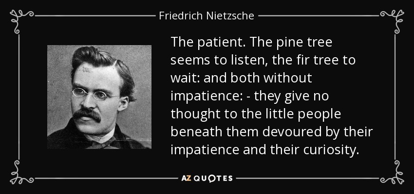 The patient. The pine tree seems to listen, the fir tree to wait: and both without impatience: - they give no thought to the little people beneath them devoured by their impatience and their curiosity. - Friedrich Nietzsche