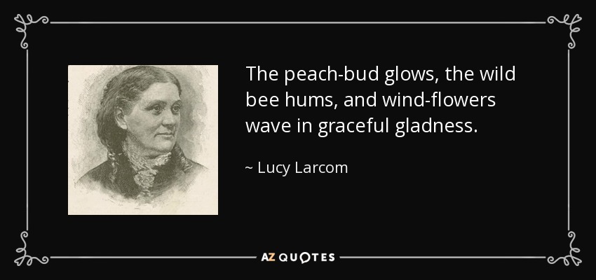 The peach-bud glows, the wild bee hums, and wind-flowers wave in graceful gladness. - Lucy Larcom