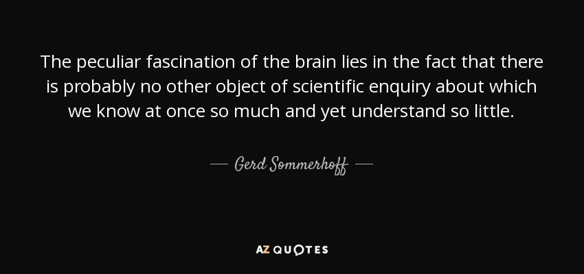 The peculiar fascination of the brain lies in the fact that there is probably no other object of scientific enquiry about which we know at once so much and yet understand so little. - Gerd Sommerhoff