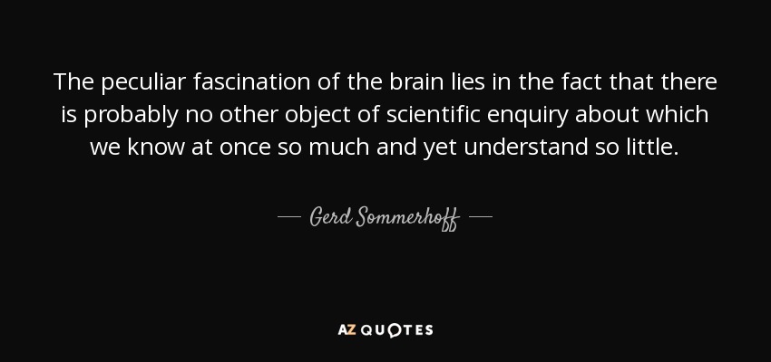 The peculiar fascination of the brain lies in the fact that there is probably no other object of scientific enquiry about which we know at once so much and yet understand so little. - Gerd Sommerhoff