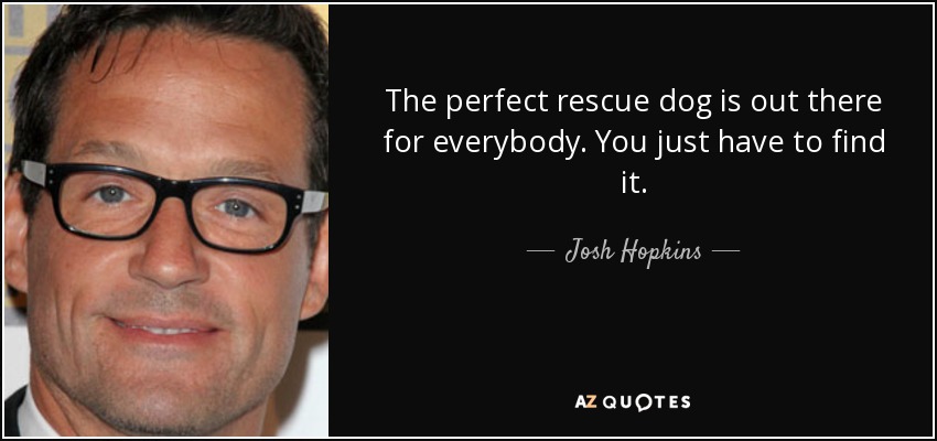 The perfect rescue dog is out there for everybody. You just have to find it. - Josh Hopkins