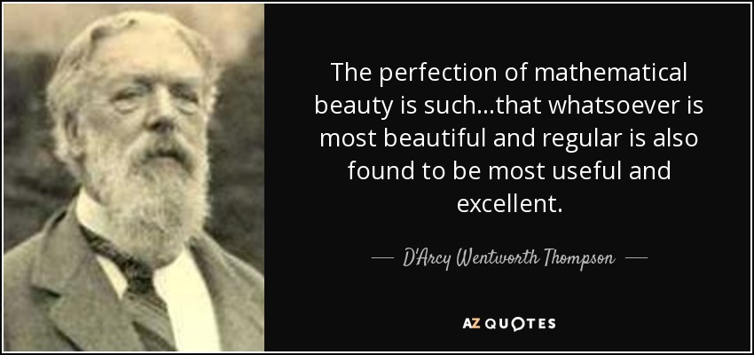 The perfection of mathematical beauty is such...that whatsoever is most beautiful and regular is also found to be most useful and excellent. - D'Arcy Wentworth Thompson
