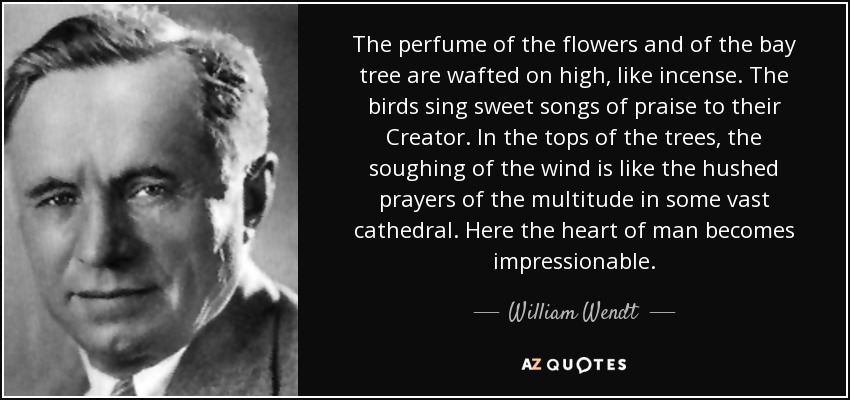 The perfume of the flowers and of the bay tree are wafted on high, like incense. The birds sing sweet songs of praise to their Creator. In the tops of the trees, the soughing of the wind is like the hushed prayers of the multitude in some vast cathedral. Here the heart of man becomes impressionable. - William Wendt