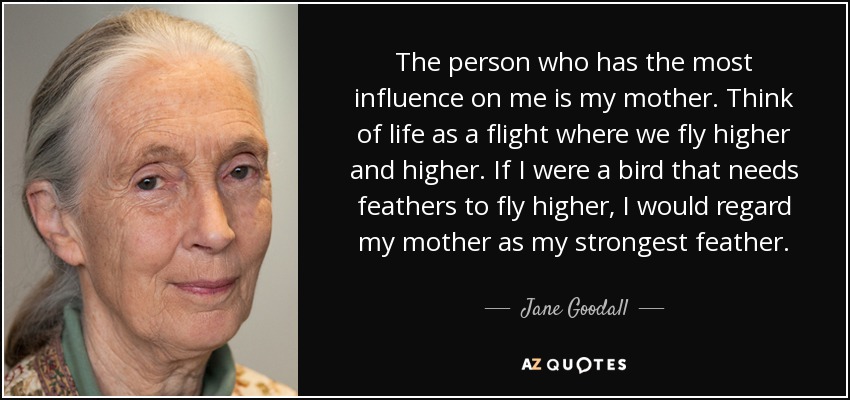 The person who has the most influence on me is my mother. Think of life as a flight where we fly higher and higher. If I were a bird that needs feathers to fly higher, I would regard my mother as my strongest feather. - Jane Goodall