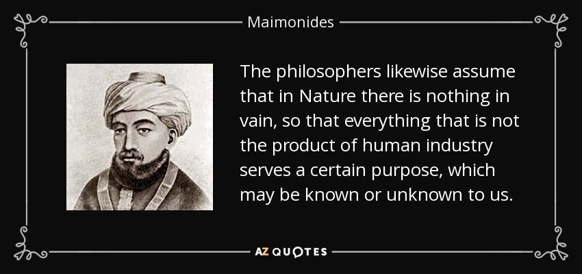 The philosophers likewise assume that in Nature there is nothing in vain, so that everything that is not the product of human industry serves a certain purpose, which may be known or unknown to us. - Maimonides