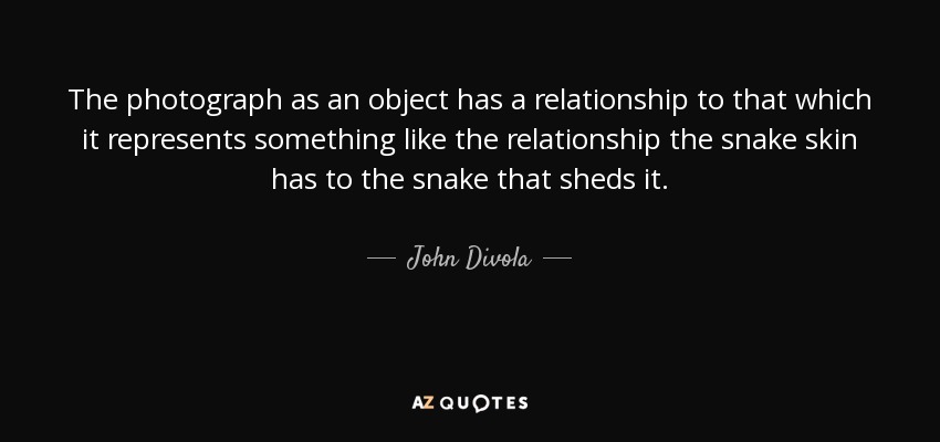 The photograph as an object has a relationship to that which it represents something like the relationship the snake skin has to the snake that sheds it. - John Divola