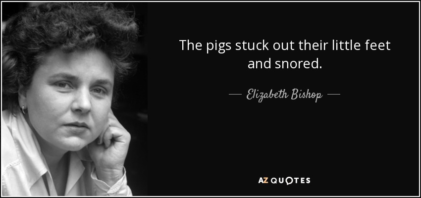 The pigs stuck out their little feet and snored. - Elizabeth Bishop