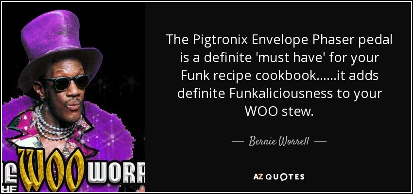 The Pigtronix Envelope Phaser pedal is a definite 'must have' for your Funk recipe cookbook......it adds definite Funkaliciousness to your WOO stew. - Bernie Worrell