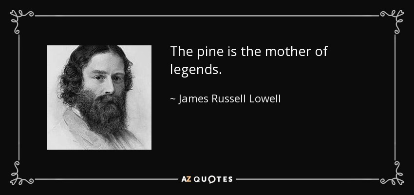 The pine is the mother of legends. - James Russell Lowell