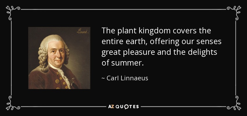 The plant kingdom covers the entire earth, offering our senses great pleasure and the delights of summer. - Carl Linnaeus