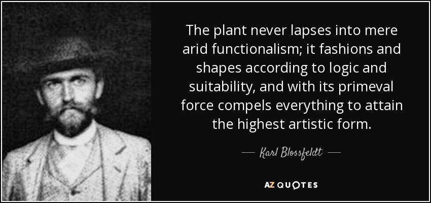 The plant never lapses into mere arid functionalism; it fashions and shapes according to logic and suitability, and with its primeval force compels everything to attain the highest artistic form. - Karl Blossfeldt