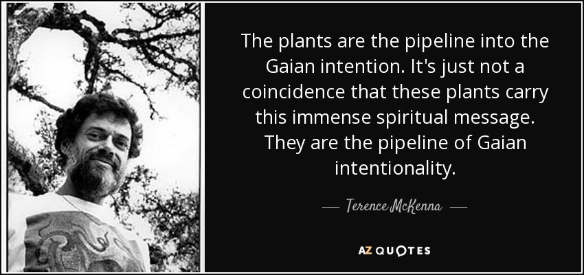 The plants are the pipeline into the Gaian intention. It's just not a coincidence that these plants carry this immense spiritual message. They are the pipeline of Gaian intentionality. - Terence McKenna