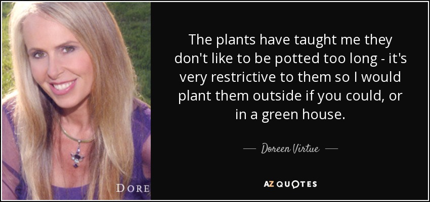 The plants have taught me they don't like to be potted too long - it's very restrictive to them so I would plant them outside if you could, or in a green house. - Doreen Virtue