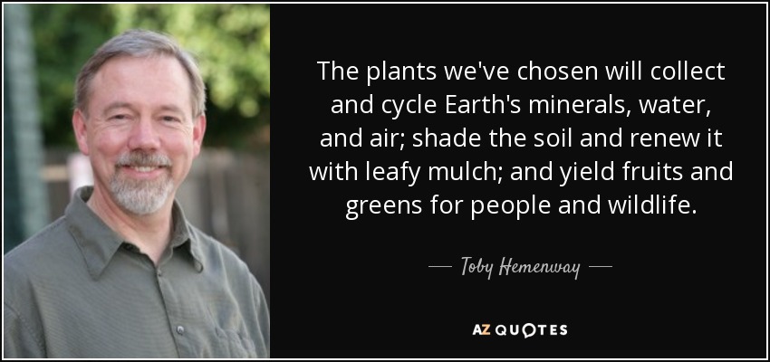 The plants we've chosen will collect and cycle Earth's minerals, water, and air; shade the soil and renew it with leafy mulch; and yield fruits and greens for people and wildlife. - Toby Hemenway