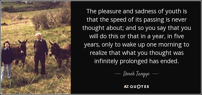 The pleasure and sadness of youth is that the speed of its passing is never thought about; and so you say that you will do this or that in a year, in five years, only to wake up one morning to realize that what you thought was infinitely prolonged has ended. - Derek Tangye