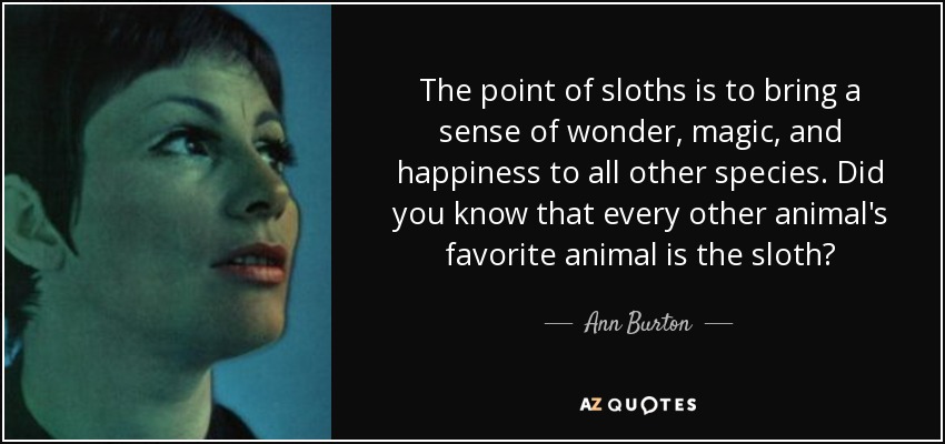 The point of sloths is to bring a sense of wonder, magic, and happiness to all other species. Did you know that every other animal's favorite animal is the sloth? - Ann Burton