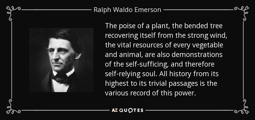 The poise of a plant, the bended tree recovering itself from the strong wind, the vital resources of every vegetable and animal, are also demonstrations of the self-sufficing, and therefore self-relying soul. All history from its highest to its trivial passages is the various record of this power. - Ralph Waldo Emerson