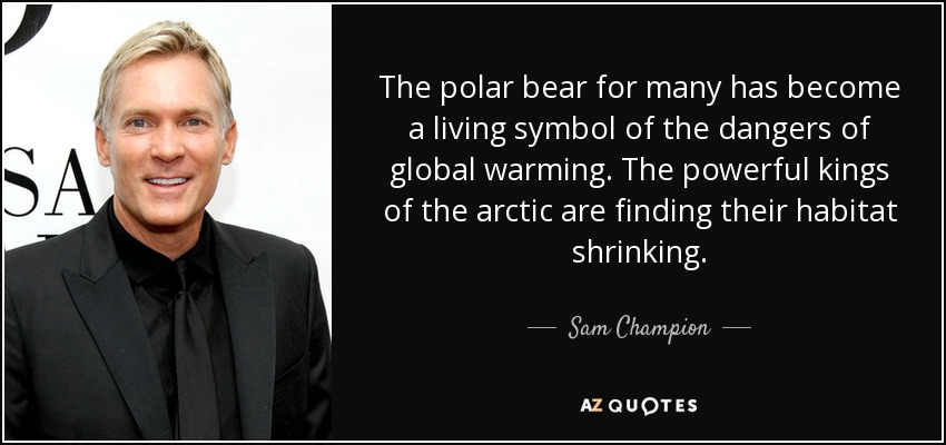 The polar bear for many has become a living symbol of the dangers of global warming. The powerful kings of the arctic are finding their habitat shrinking. - Sam Champion