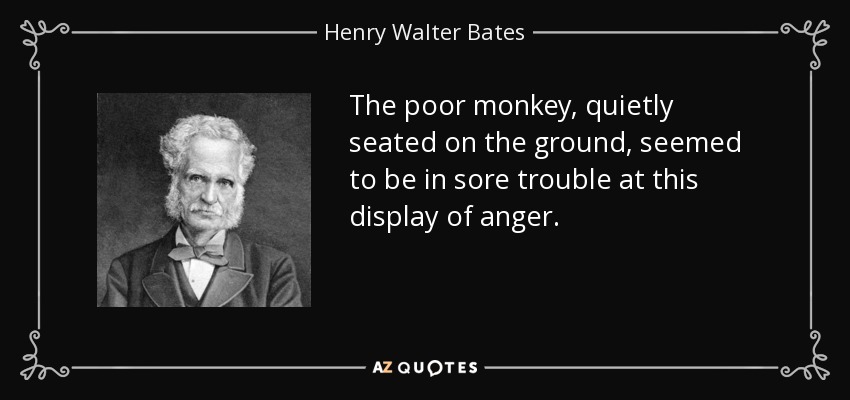 The poor monkey, quietly seated on the ground, seemed to be in sore trouble at this display of anger. - Henry Walter Bates