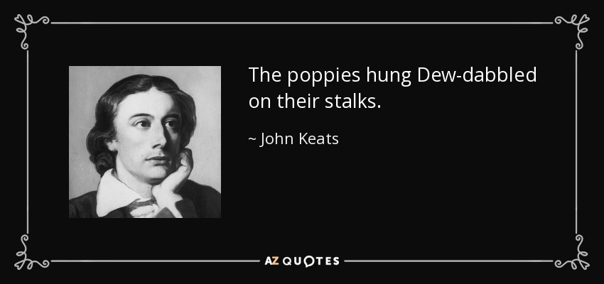 The poppies hung Dew-dabbled on their stalks. - John Keats