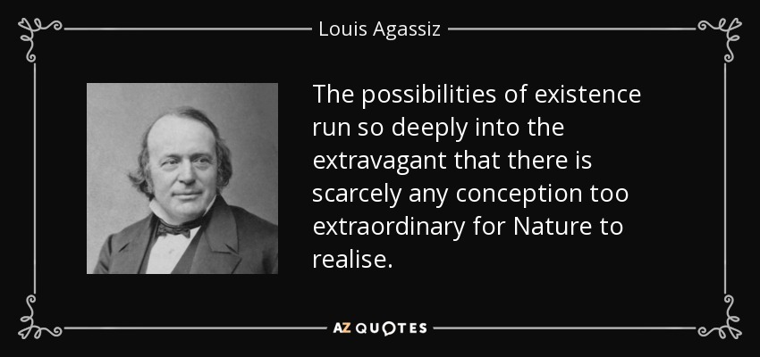 The possibilities of existence run so deeply into the extravagant that there is scarcely any conception too extraordinary for Nature to realise. - Louis Agassiz