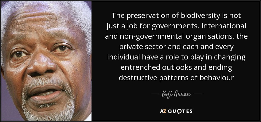 The preservation of biodiversity is not just a job for governments. International and non-governmental organisations, the private sector and each and every individual have a role to play in changing entrenched outlooks and ending destructive patterns of behaviour - Kofi Annan