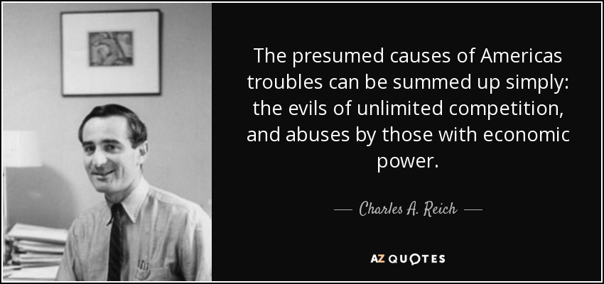 The presumed causes of Americas troubles can be summed up simply: the evils of unlimited competition, and abuses by those with economic power. - Charles A. Reich