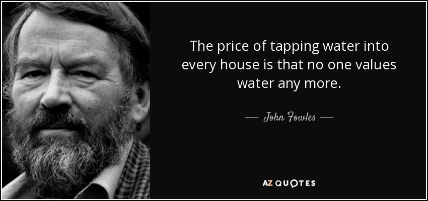 The price of tapping water into every house is that no one values water any more. - John Fowles