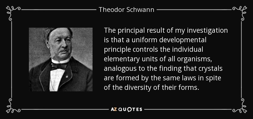 The principal result of my investigation is that a uniform developmental principle controls the individual elementary units of all organisms, analogous to the finding that crystals are formed by the same laws in spite of the diversity of their forms. - Theodor Schwann
