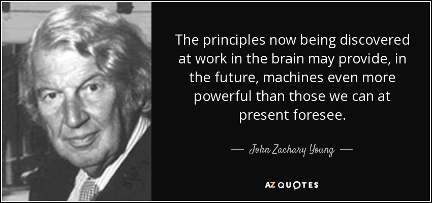 The principles now being discovered at work in the brain may provide, in the future, machines even more powerful than those we can at present foresee. - John Zachary Young