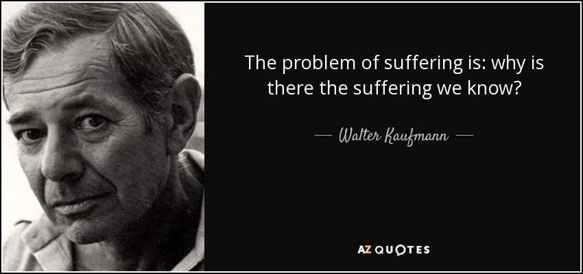 The problem of suffering is: why is there the suffering we know? - Walter Kaufmann