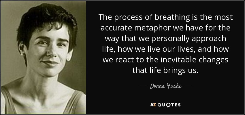 The process of breathing is the most accurate metaphor we have for the way that we personally approach life, how we live our lives, and how we react to the inevitable changes that life brings us. - Donna Farhi