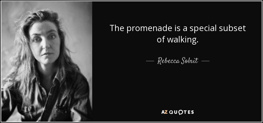 The promenade is a special subset of walking. - Rebecca Solnit