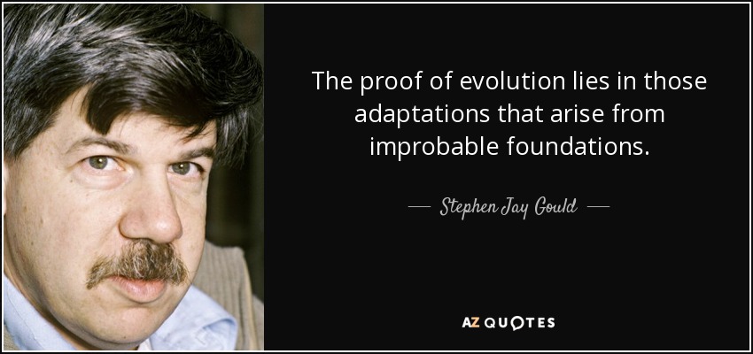 The proof of evolution lies in those adaptations that arise from improbable foundations. - Stephen Jay Gould