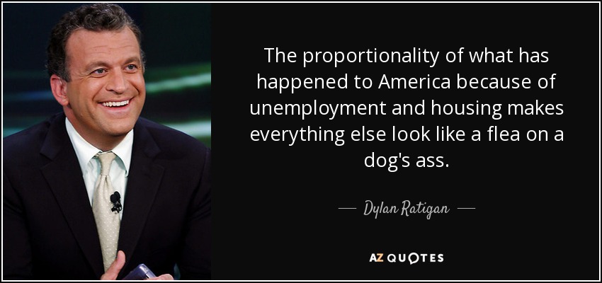 The proportionality of what has happened to America because of unemployment and housing makes everything else look like a flea on a dog's ass. - Dylan Ratigan