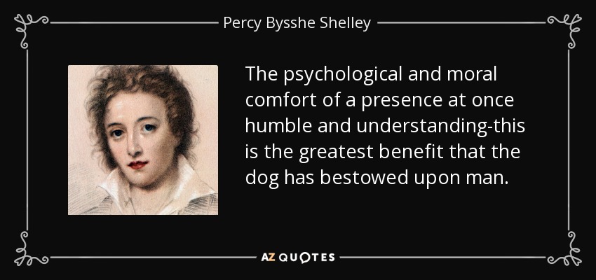 The psychological and moral comfort of a presence at once humble and understanding-this is the greatest benefit that the dog has bestowed upon man. - Percy Bysshe Shelley