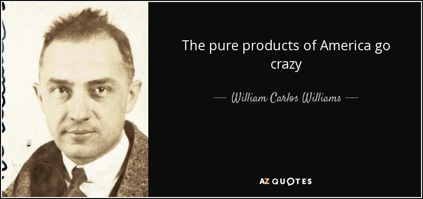 The pure products of America go crazy - William Carlos Williams