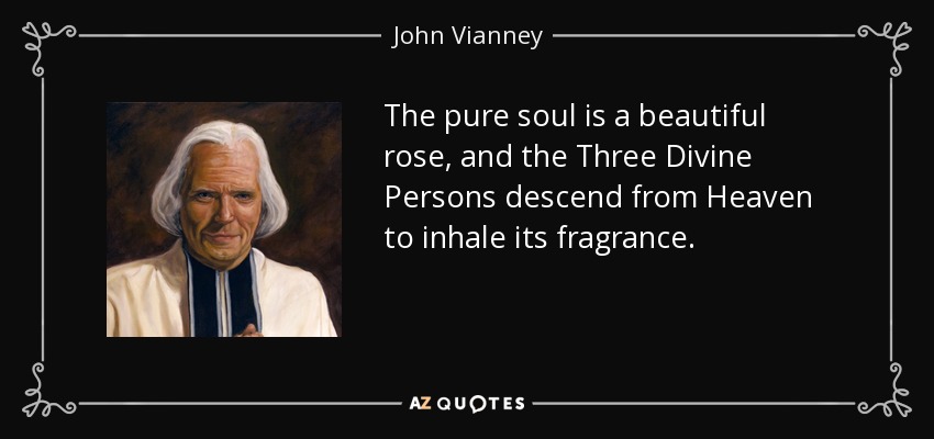 The pure soul is a beautiful rose, and the Three Divine Persons descend from Heaven to inhale its fragrance. - John Vianney