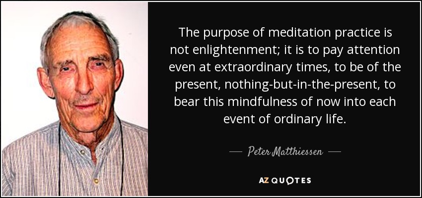 The purpose of meditation practice is not enlightenment; it is to pay attention even at extraordinary times, to be of the present, nothing-but-in-the-present, to bear this mindfulness of now into each event of ordinary life. - Peter Matthiessen