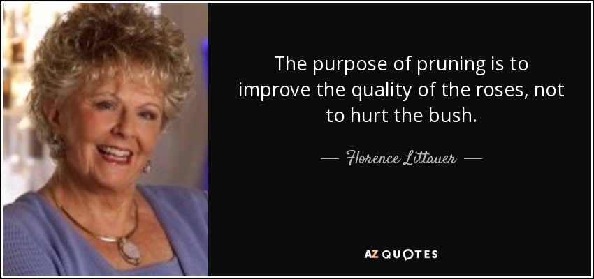 The purpose of pruning is to improve the quality of the roses, not to hurt the bush. - Florence Littauer