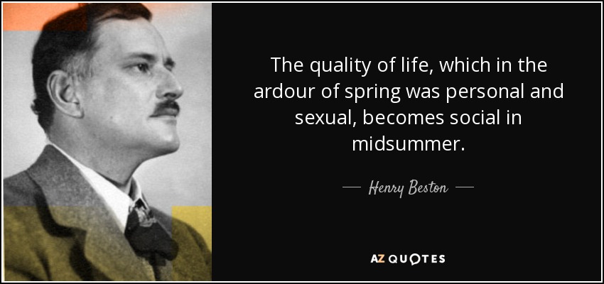 The quality of life, which in the ardour of spring was personal and sexual, becomes social in midsummer. - Henry Beston