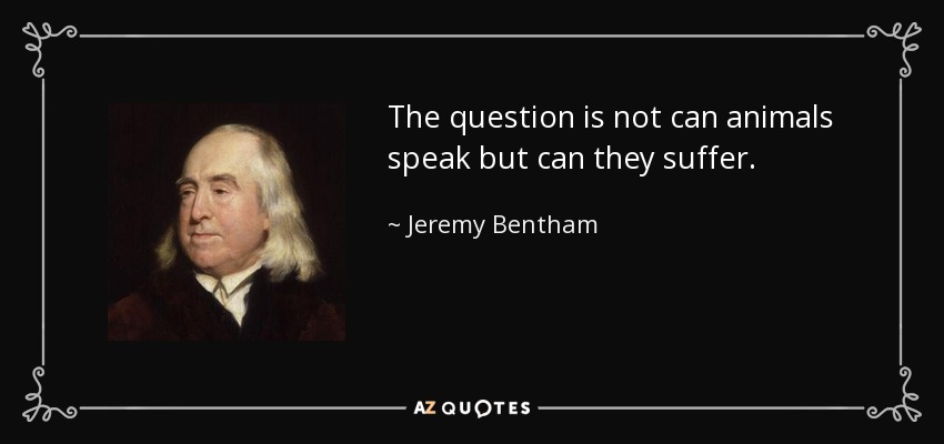 The question is not can animals speak but can they suffer. - Jeremy Bentham