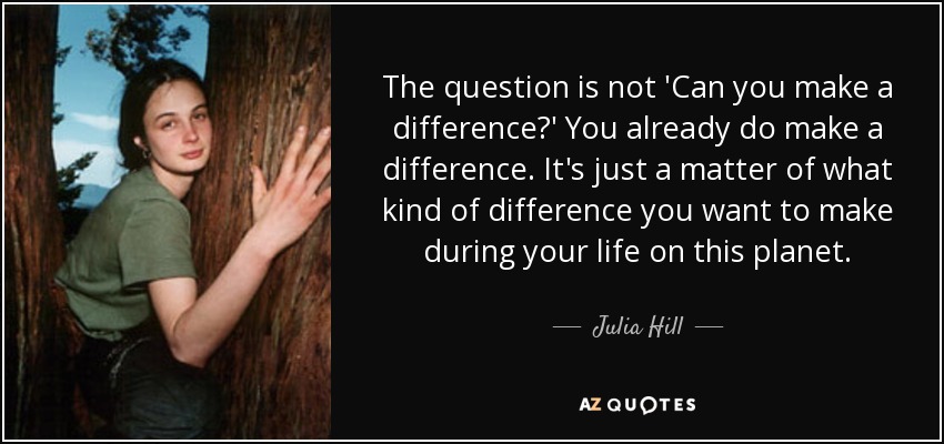 The question is not 'Can you make a difference?' You already do make a difference. It's just a matter of what kind of difference you want to make during your life on this planet. - Julia Hill