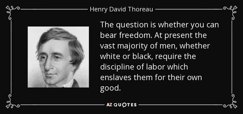 The question is whether you can bear freedom. At present the vast majority of men, whether white or black, require the discipline of labor which enslaves them for their own good. - Henry David Thoreau