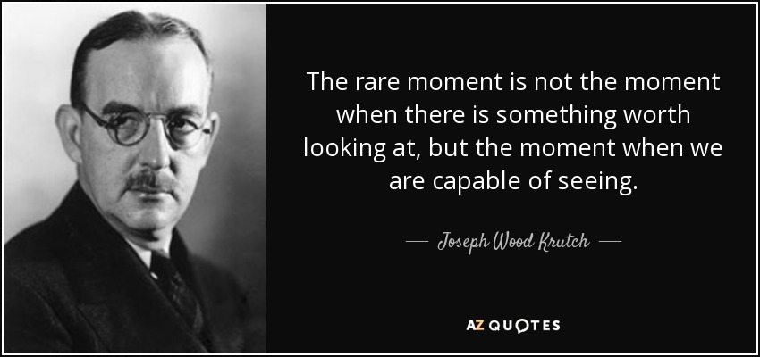 The rare moment is not the moment when there is something worth looking at, but the moment when we are capable of seeing. - Joseph Wood Krutch